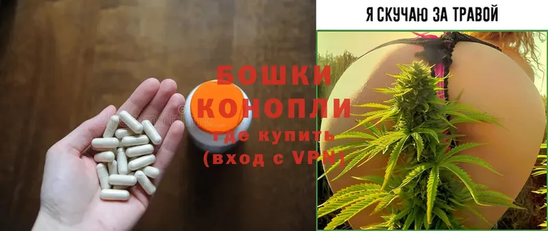 Где можно купить наркотики Ленинск-Кузнецкий APVP  ГАШ  Марихуана  COCAIN 