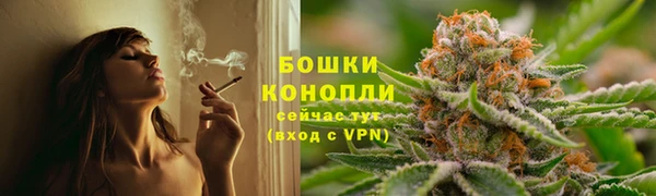 мдпв Ветлуга
