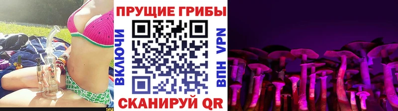 маркетплейс какой сайт  Ленинск-Кузнецкий  Галлюциногенные грибы MAGIC MUSHROOMS 